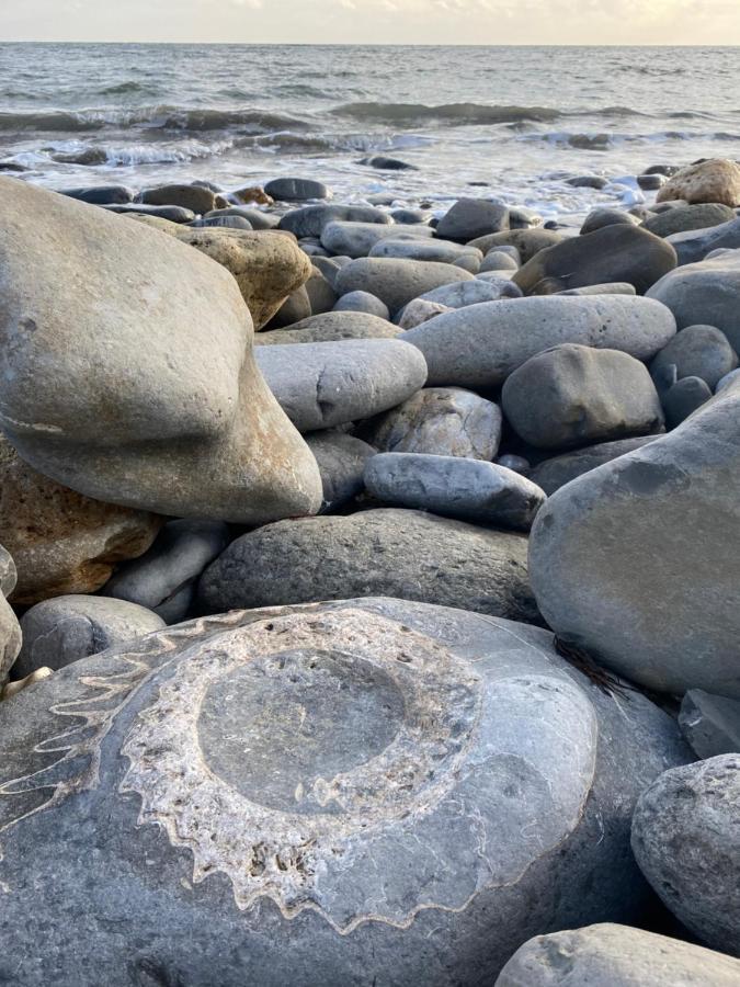 Seabreeze Lyme Regis Exterior foto